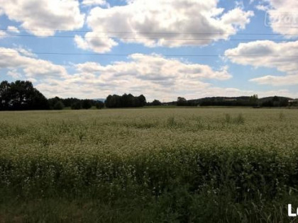 Działka budowlana Biedrzychowice