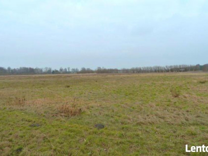 Działka Bolemin