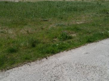 Dzialki budowlane w Gorzowie w dzielnicy Karnin ul. Letnia