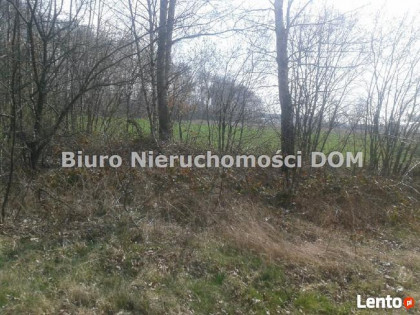 Działka Łochynia gm. Mykanów