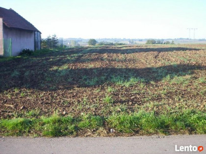 Działka rolno-budowlana Kazimierza Wielka / Odonów. 125 arów