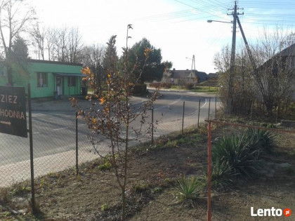 Sprzedam działka budowlano - inwestycyjna Skierbieszow