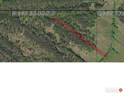 Grunty rolne, łąki, lasy