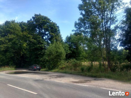 dzialka pod inwestycje 5200 m2 -2 km od Ladka Zdroju