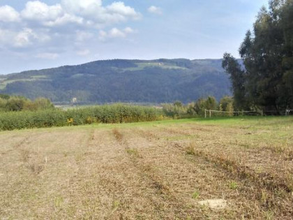 Dzialka rolno widokowa