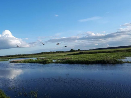 Działka nad Kanałem Rudzkim