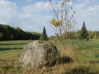 Strzegocin 6ha pod rezydencję, inwestycję, podział