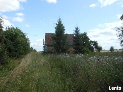 Domek i budynki gospodarcze