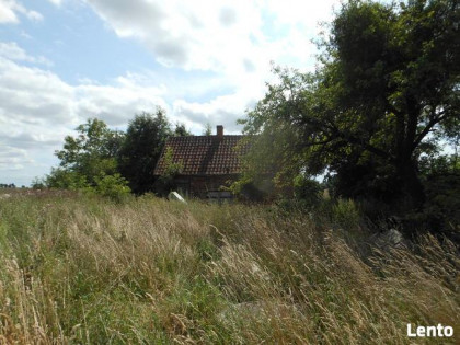 Domek i budynki gospodarcze