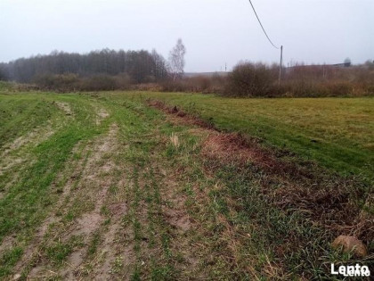 Działka rolno-budowlana na sprzedaż 1 ha elganowo, pasym