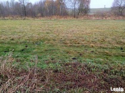 Działka rolno-budowlana na sprzedaż 1 ha elganowo, pasym