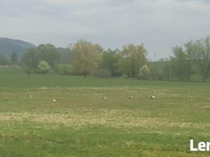 sprzedam działki pod zabudowę