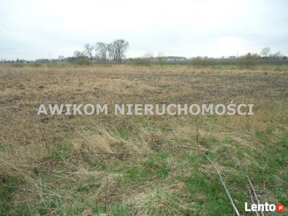 Działka siedliskowa Błonie Wola Łuszczewska