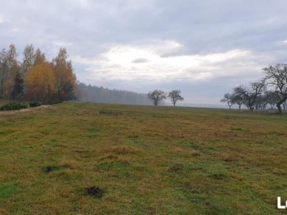 Sprzedam działkę budowlaną, Nowy Węgrzynów , 8,7 ar