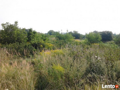 Sprzedam działkę Rzeźnicza/Wąska