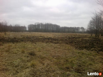 Działka rolno-budowlana 1,6h