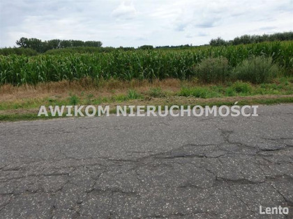 Działka budowlana Baranów Cegłów