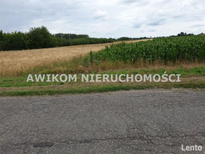 Działka budowlana Baranów Cegłów