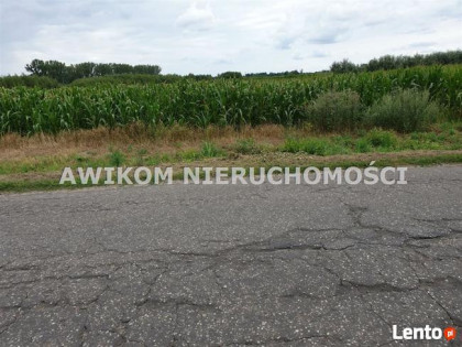 Działka budowlana Baranów Cegłów