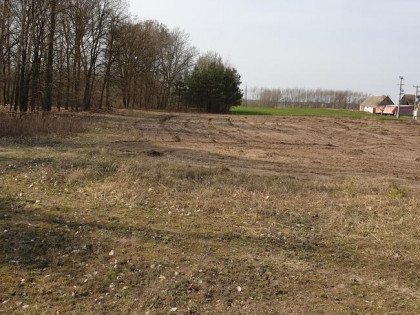 Działka