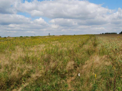Kopalnia piasku w Baranowie przy S17, 0,5 zł za tonę kopalin