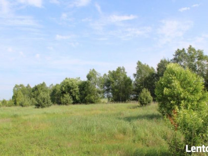 Działka rekreacyjna - Jankowice