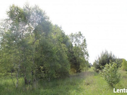 Działka rekreacyjna - Jankowice