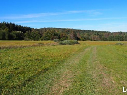 Działki siedliskowe 6,37 ha Dołżyca gm. Komańcza