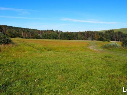 Działki siedliskowe 6,37 ha Dołżyca gm. Komańcza