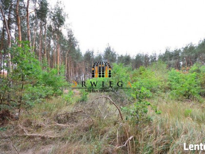 Działka Budowlana,  Karnin,  495 000 zł