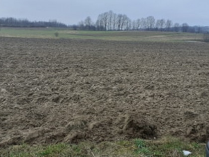 Działka rolno-budowlana