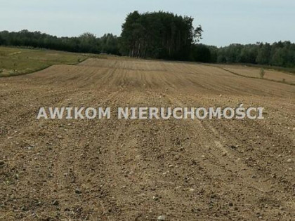 Działka rolna Krze Duże gm. Radziejowice