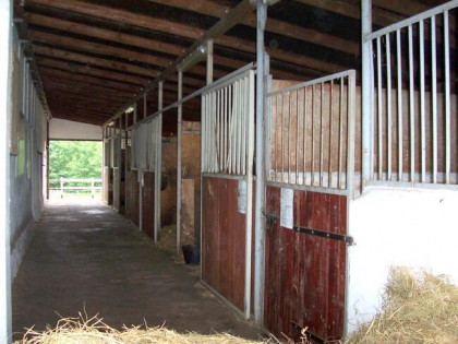 Rozwojowe ranczo - już gotowe na przyjęcie ponad 20 koni.