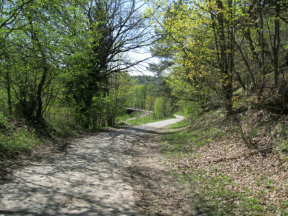 Działka na Kaszubach, Borzytuchom