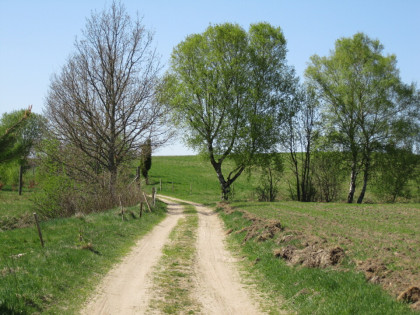 Działka na Kaszubach, Borzytuchom