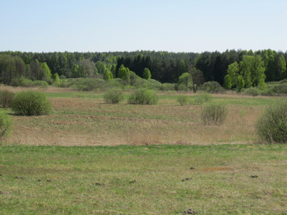 Działka na Kaszubach, Borzytuchom