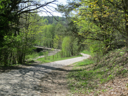 Działka na Kaszubach, Borzytuchom