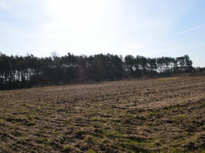 Atrakcyjnie zlokalizowane działki pod inwestycje