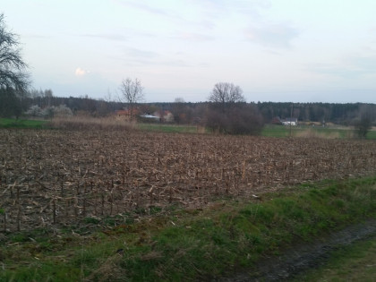 Działki 9 arowe Witoszyn