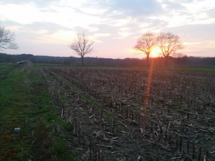 Działki 9 arowe Witoszyn