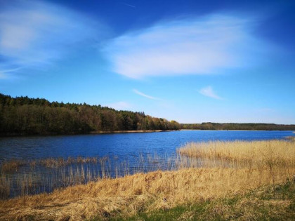 Działka nad Jeziorem Jelenin - Blisko Szczecin/Berlin