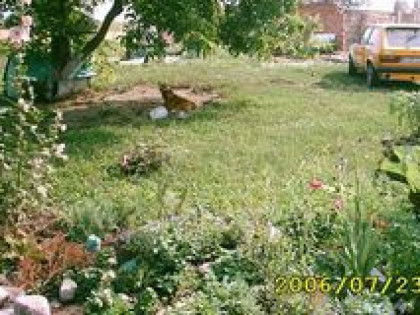 DZIAŁKA BUDOWLANA Z DOMEM W TRAKCIE REMONTU