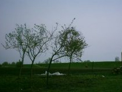 SPRZEDAM DZIAŁKE BUDOWLANA