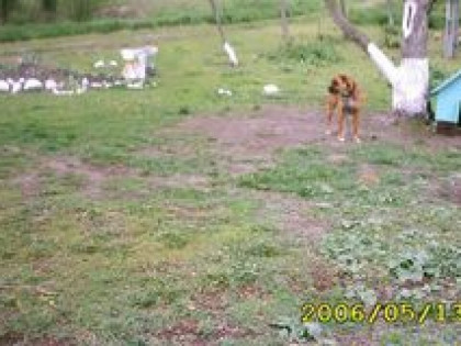 DZIAŁKA BUDOWLANA Z DOMEM W TRAKCIE REMONTU