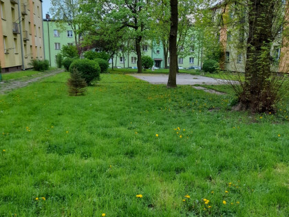 Sprzedam dwupokojowe  środkowe mieszkanie w centrum z niskim czynszem    Starachowice  219000 zł