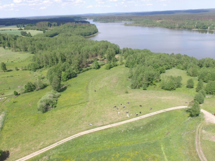 DZIALKA Z LINIĄ BRZEGOWĄ JEZIORA KASZUBY