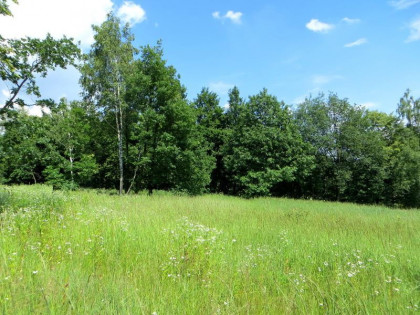 Działka Jankowice