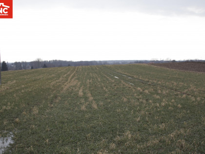 Działka Tomaszowice