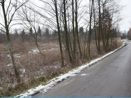 Bodzanów--30 arów -przy drodze -gminnej - pod usługi-hale, m
