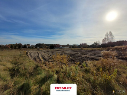 Działka, grunt na sprzedaż (woj. podlaskie). Karakule, 260 000 PLN
